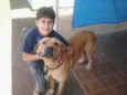 Brutis