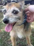 Encontrada