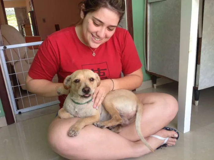 Cachorro ra a SRD idade 2 anos nome Matheus