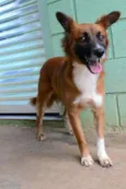 POTTER, 1 aninho!