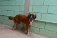 POTTER, 1 aninho!