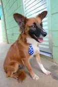 POTTER, 1 aninho!