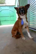 POTTER, 1 aninho!
