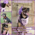 JUANITA, Princesa r