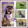 JUANITA, Princesa r