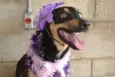 JUANITA, Princesa r
