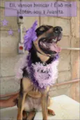 JUANITA, Princesa r
