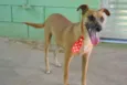 MELKinho, 1 ano, do