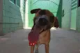 MELKinho, 1 ano, do