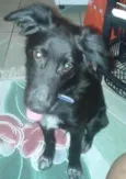 Sirius