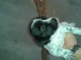 betowen. megui. bobi