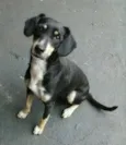 Raika