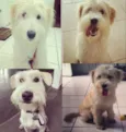 Timmy