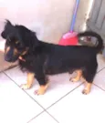 Bobby