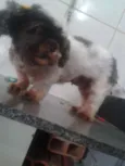mel