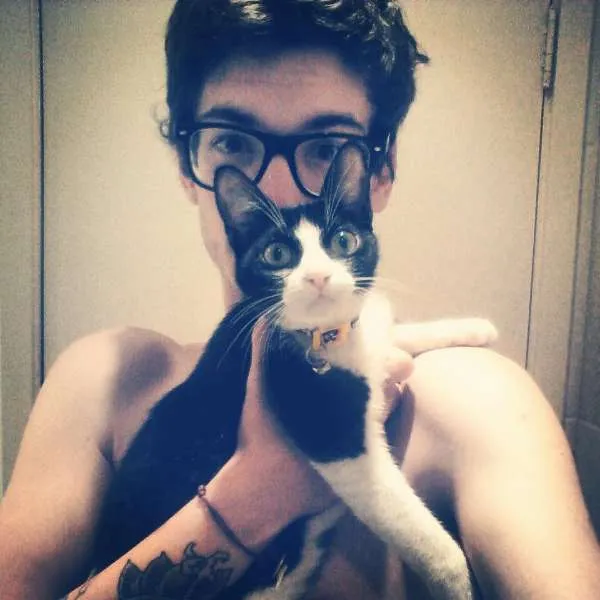 Gato ra a  idade 7 a 11 meses nome Lucy