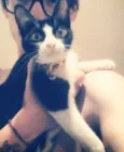 Lucy