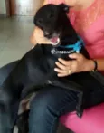 Lindo negão