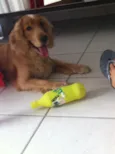 Tobby