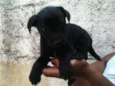 Tiago
