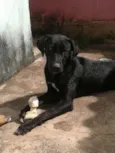 Vitório