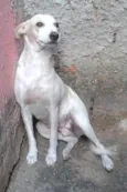 Branquinha