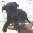 Tiago