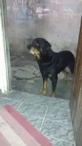 ruqui