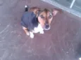 ALEGRIA