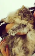 Mia