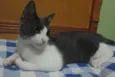 ROMEU