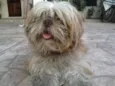 BOB