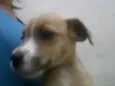 sem nome