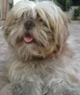 BOB