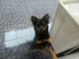 Malú