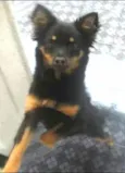 Malú