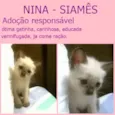 Nina