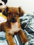 Twix