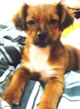 Twix