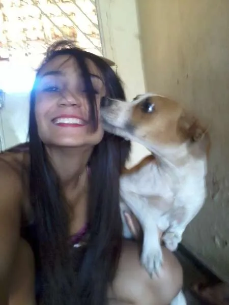 Cachorro raça  idade  nome Priscila