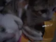 Lindinha, docinho e