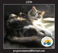 Lillith