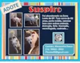 SUSPIRO