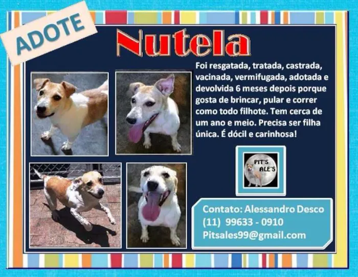 Cachorro ra a SRD idade 1 ano nome Nutela