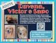 RAVENA, VICTOR E SAPO