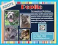 PEPITO