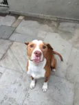 BEBÊ