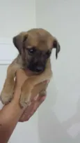 Bebê