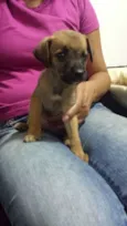 Bebê