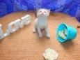 Laka